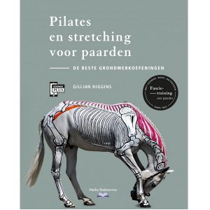 Pilates en Stretching