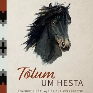 Boek 'Let's talk about horses' Benni Líndal