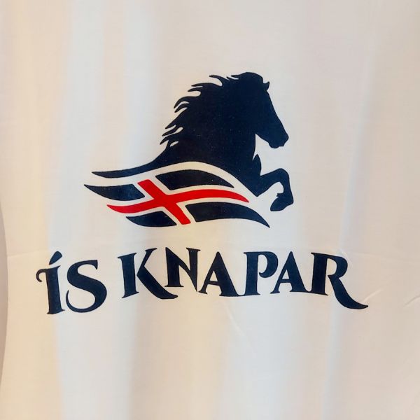 Isknapar Logo T-shirt