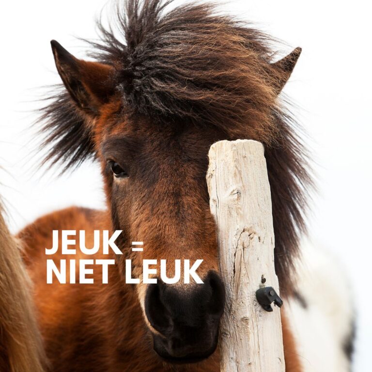 Zomereczeem paard herkennen