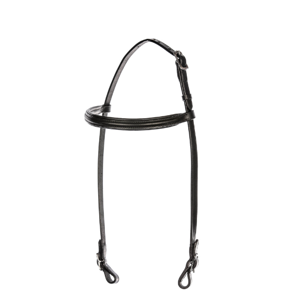 Eques singula kopstuk