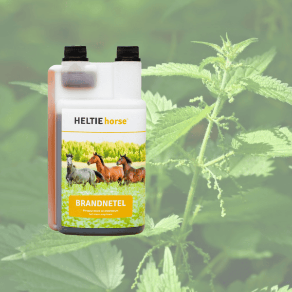 Heltie Horse Brandnetel Heltie Horse Brandnetel