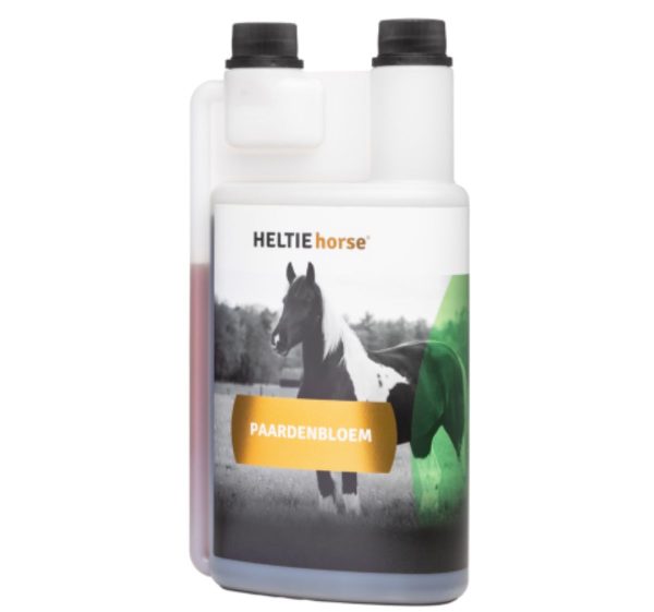 Heltie horse paardenbloem