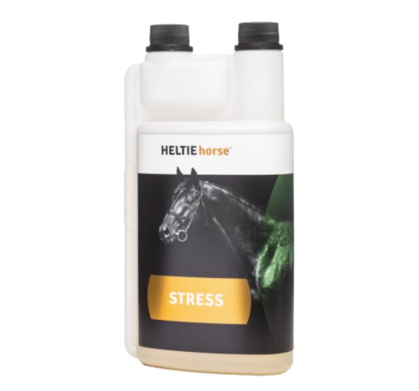 Heltie horse stress