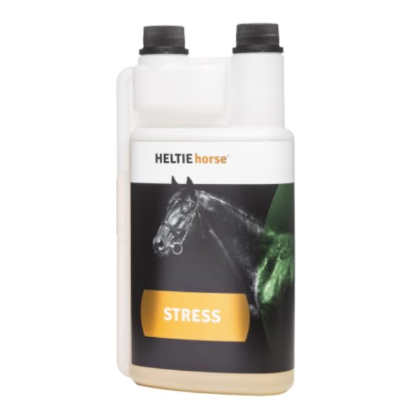 Heltie horse stress