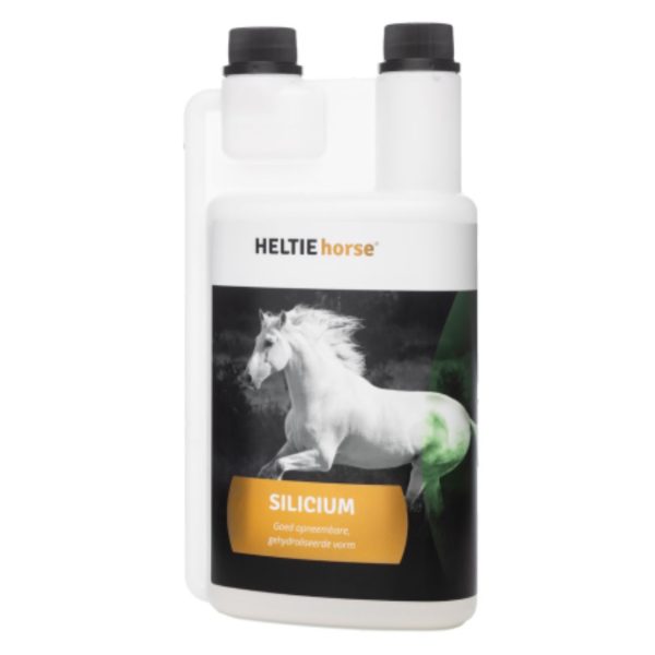 Heltie horse silicium