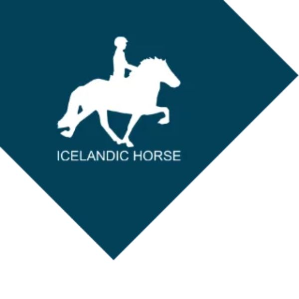Icelandic Horse Platform