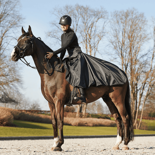 Paard