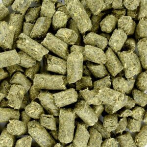 Florian Oerbrok Icelandic Impact