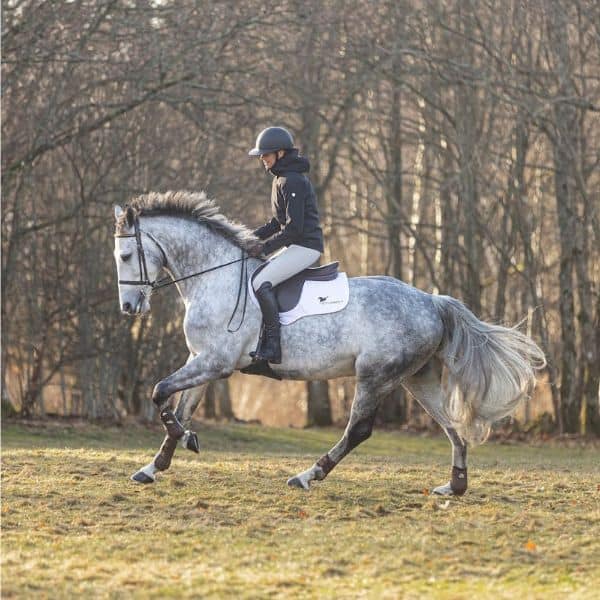 Stierna Storm regenjack