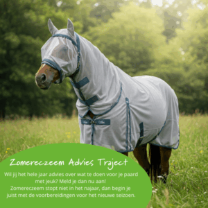 Zomereczeem Advies Traject