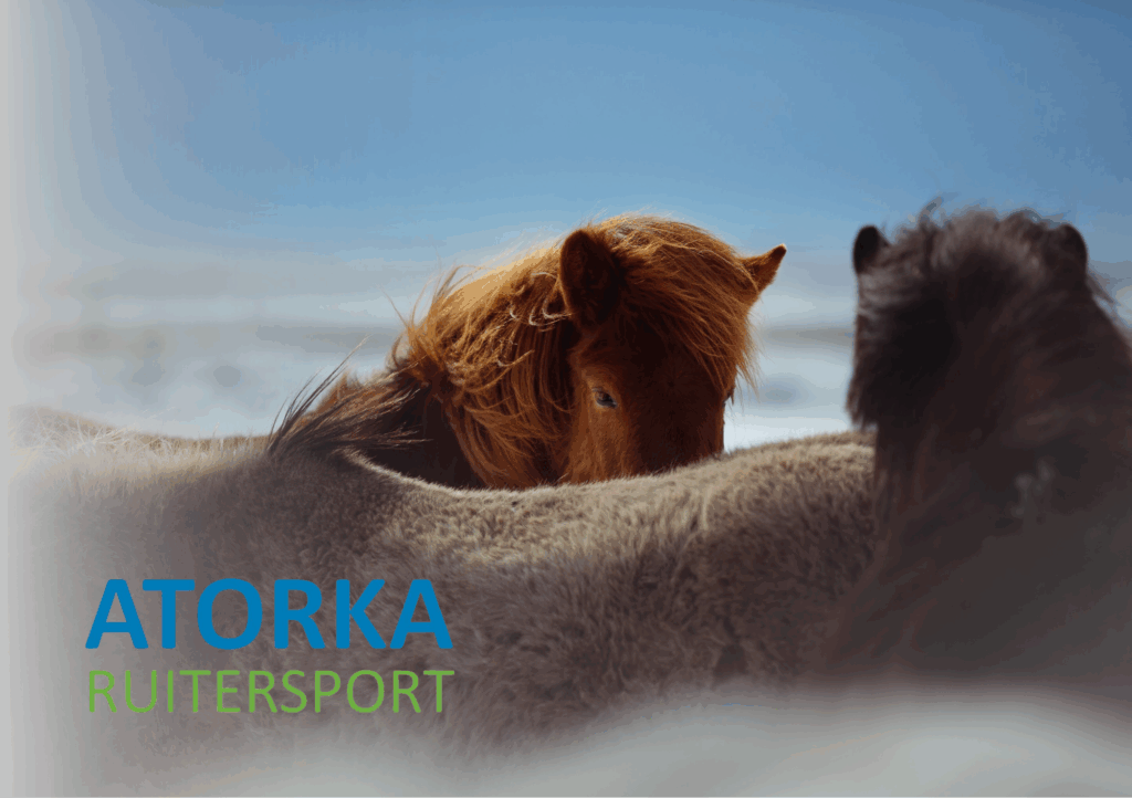 Kerst Winactie Atorka