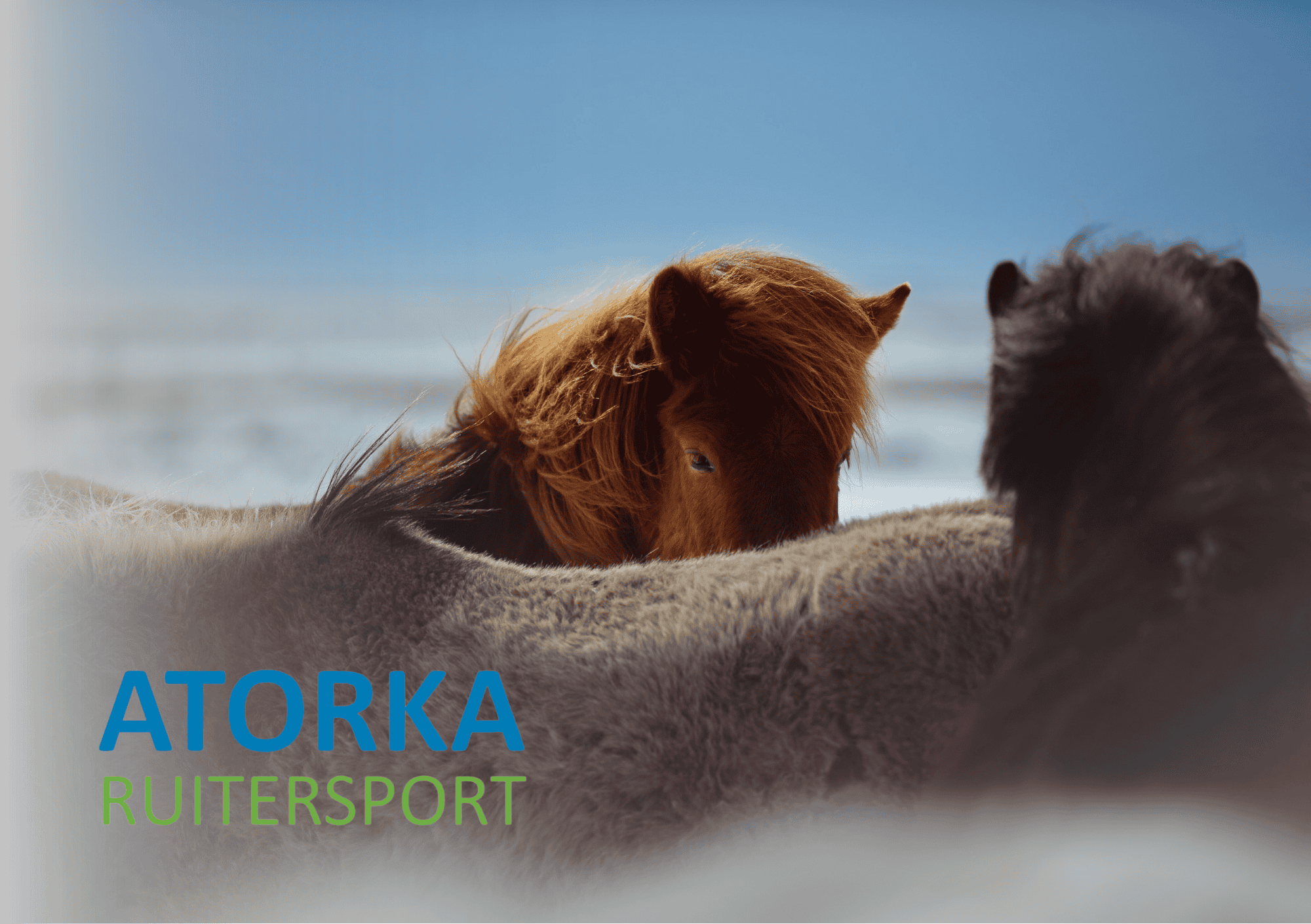 Kerst Winactie Atorka