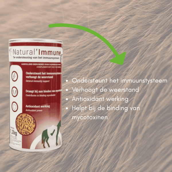 Horsup Natural Immune