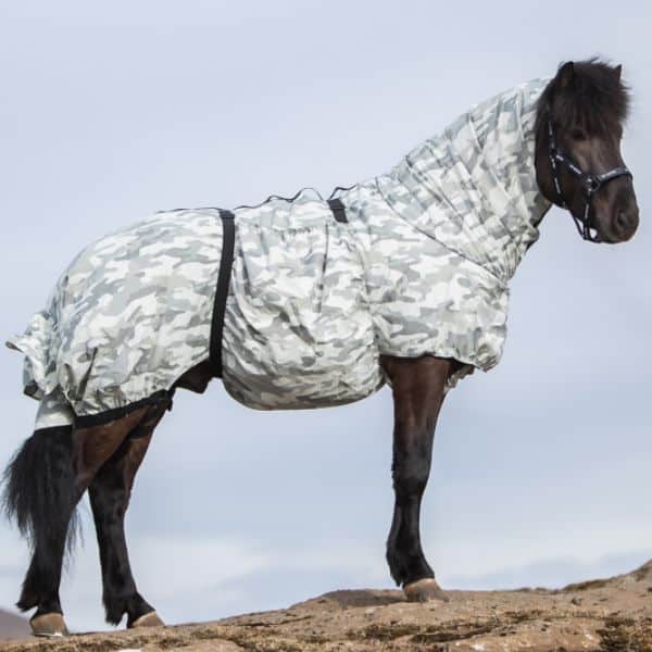 Eczeemdeken paard