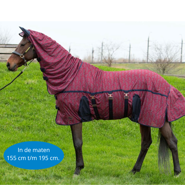 Harry's Horse Mesh Superior