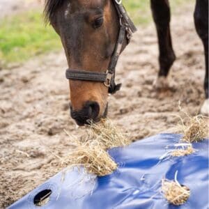 welk formaat Hayplay Bag kies jij