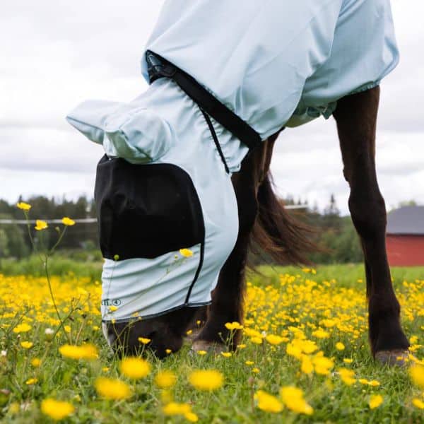 Heeft het zomereczeem advies traject jouw paard geholpen