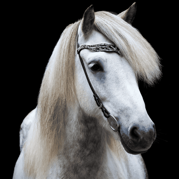 Fennir frá Efra-Núpi