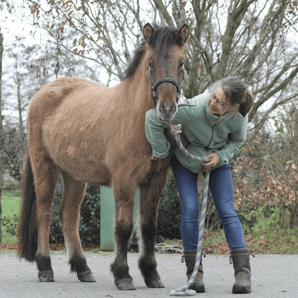 Hálfur frá Náttúrunni NL2023100092