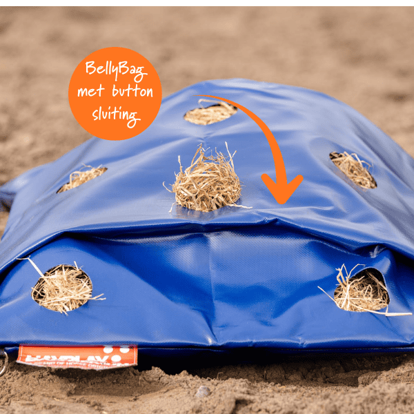 HayPlay Button BellyBag