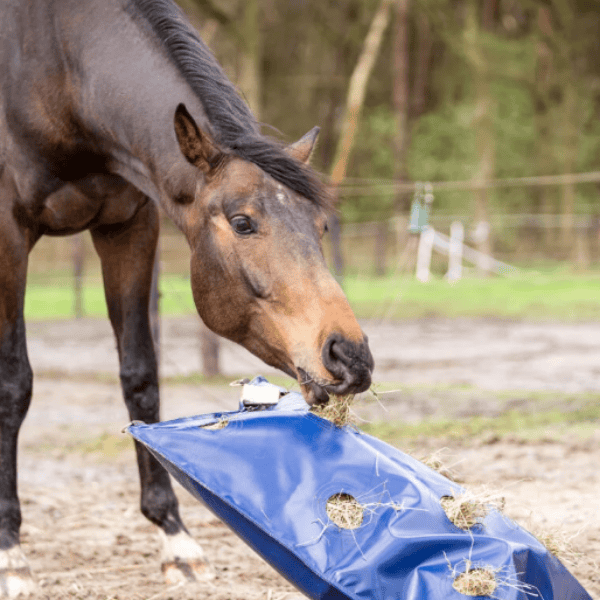 Hayplay ButtonBag Hayplay ButtonBag
