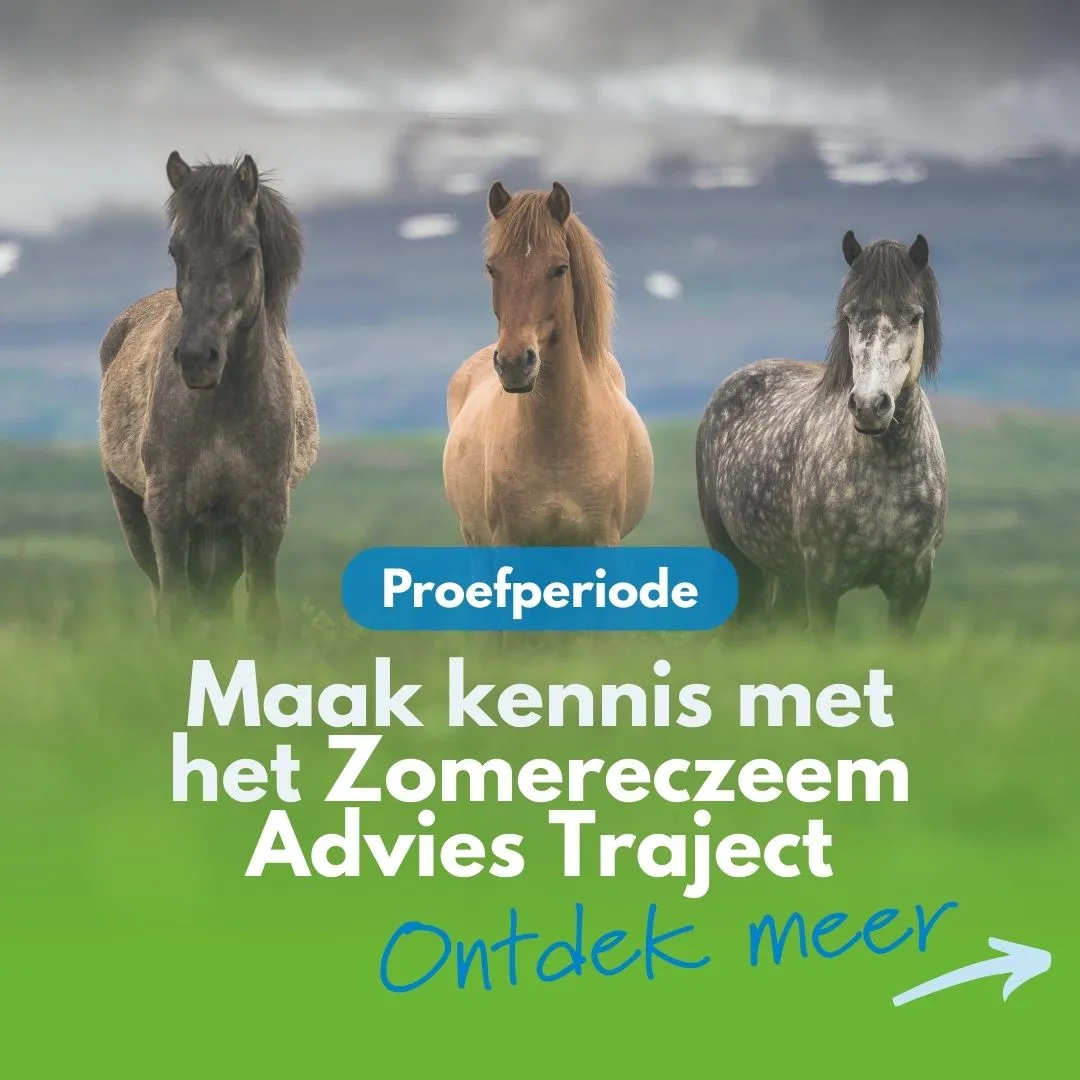 Kennismaking zomereczeem adviestraject