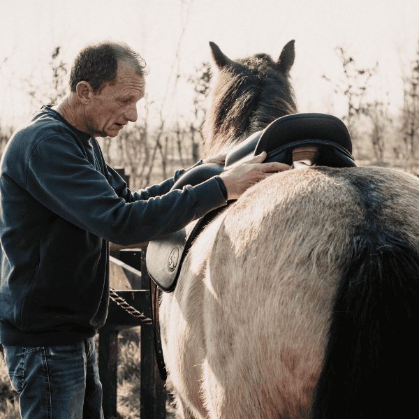Advies en Tips bij de aanschaf van een zadel