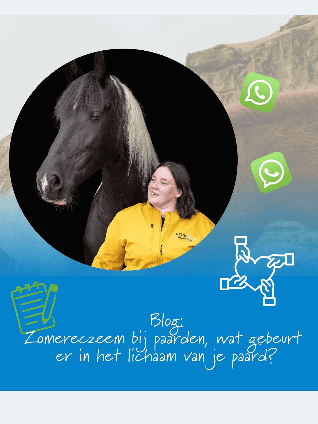 Zomereczeem bij paarden, wat gebeurt er in het lichaam