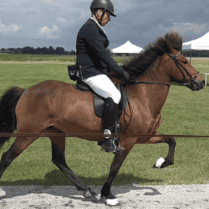 Mónika frá Blesastödum