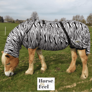 2-delige Masterclass zomereczeem