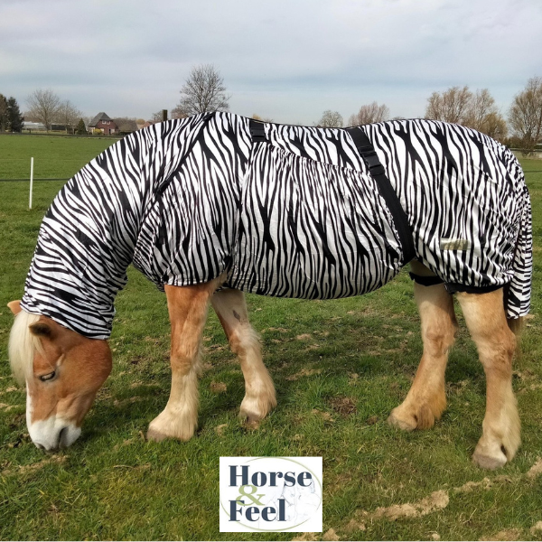 2-delige Masterclass zomereczeem