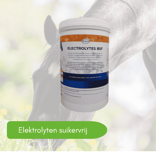 Wanneer geef je electrolyten aan je paard
