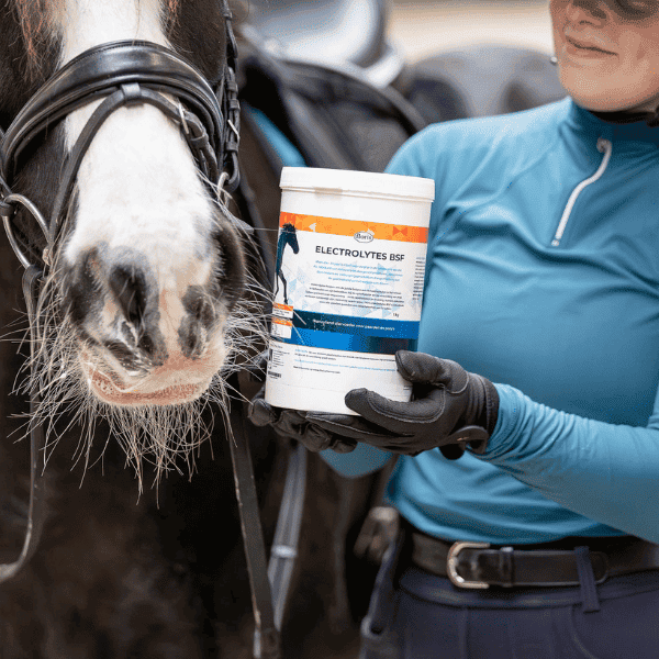 https://www.atorka.nl/wanneer-geef-je-elektrolyten-aan-je-paard/