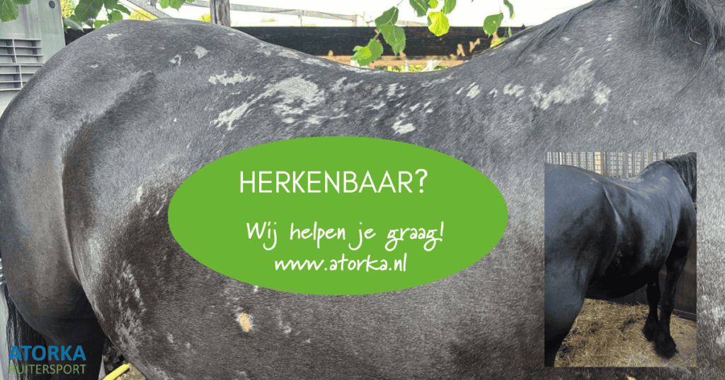 Heeft je paard kale plekken