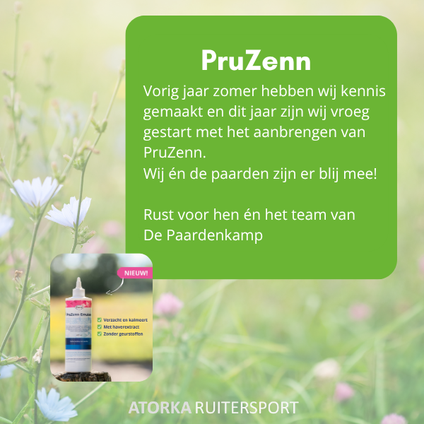 De Paardenkamp