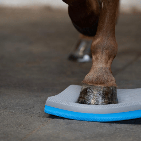 Horse Guard Balance pads 1 Horse Guard Balance pads