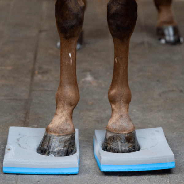 Horse Guard Balance pads