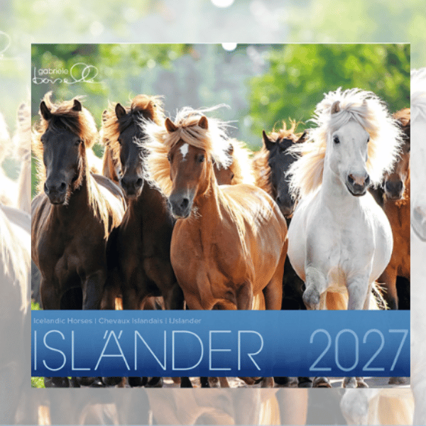 Boiselle IJslanderkalender 2027
